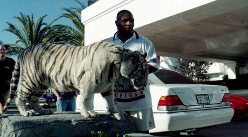 王老虎被爆料了吗视频,揭秘背后真相  第3张